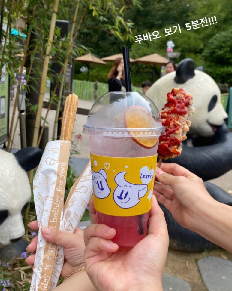 월드이용원 이미지