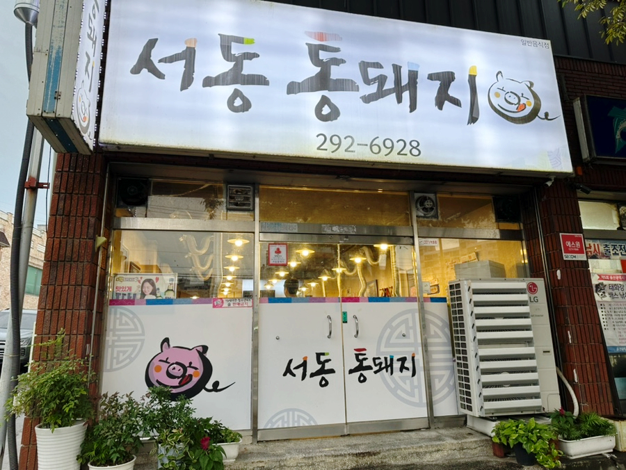 서동통돼지 이미지