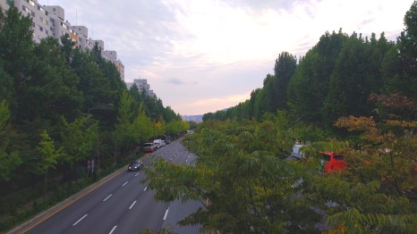 하시모토겐죠미장 이미지