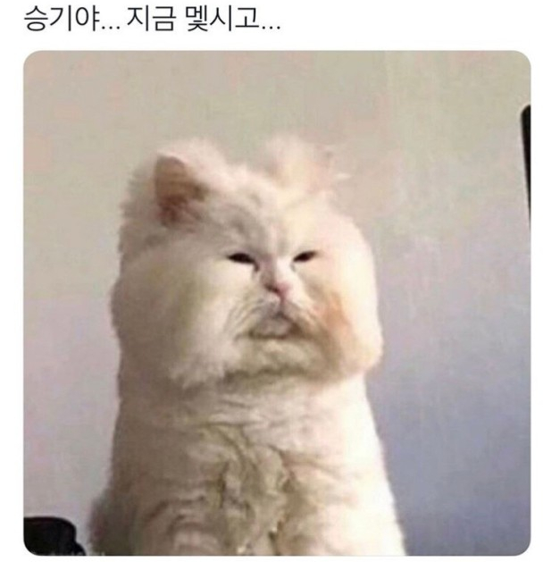 오샤캠핑장 이미지