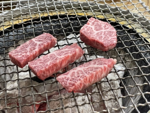 안동미트 이미지