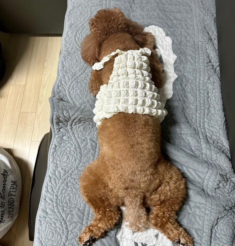 에이치에이피 이미지