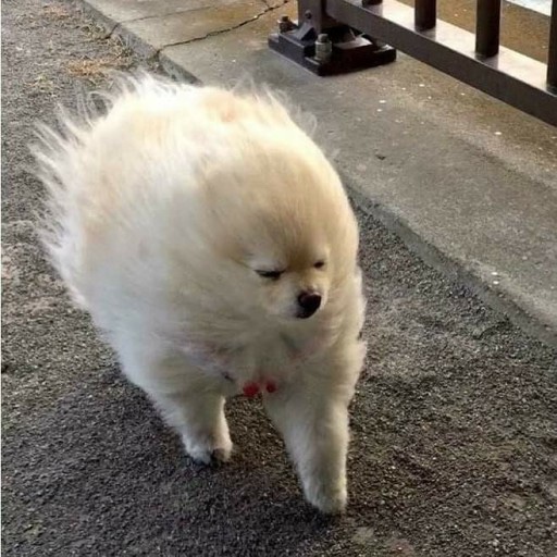 곽돈 이미지