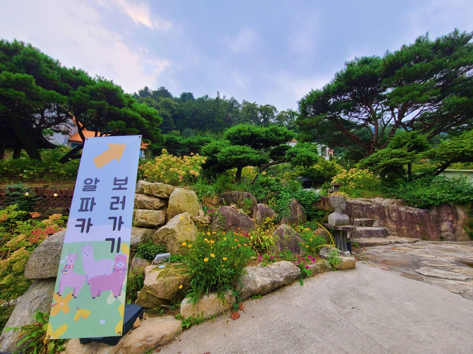 포천이동숯불갈비 이미지