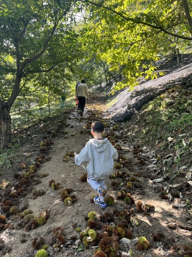 가고파농장 이미지