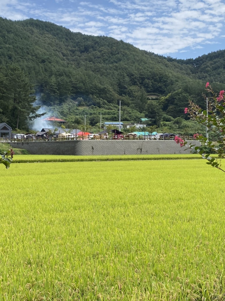 플로라캠프 이미지