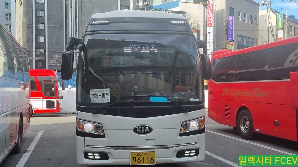 삼진관광 이미지