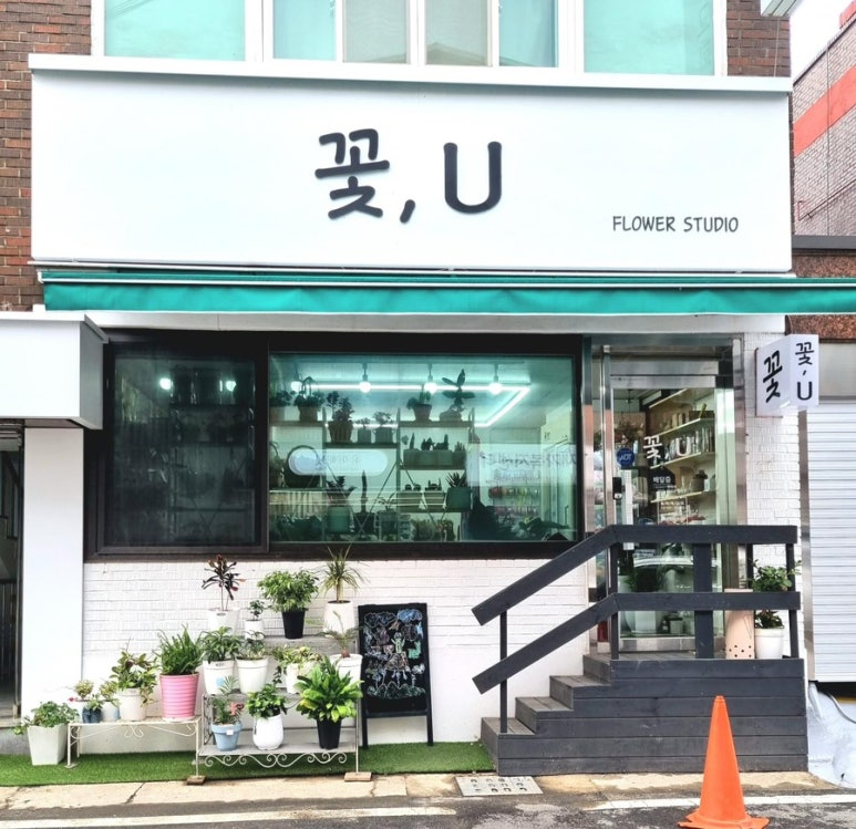 꽃;U 이미지