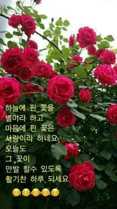 여보게 친구 이미지