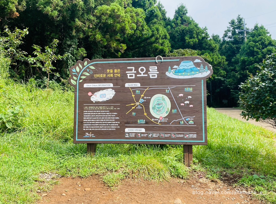 새또미 이미지