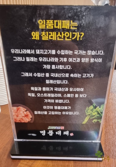 샐러브 이미지