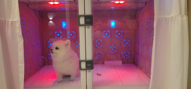 아리랑세탁 이미지