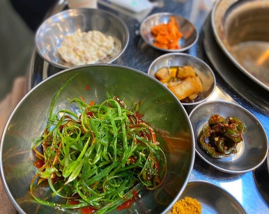 돗배갈매기 이미지