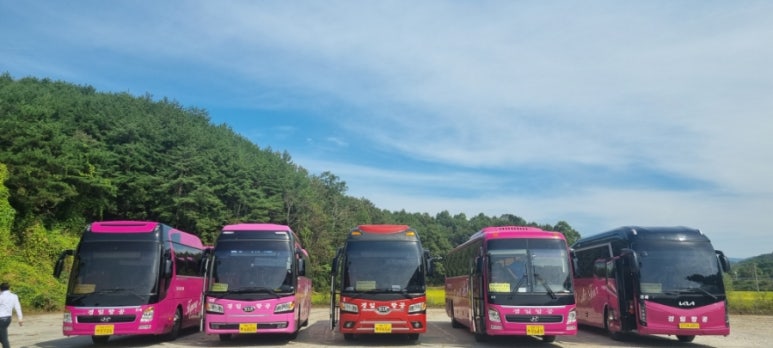 경일항공여행사 이미지