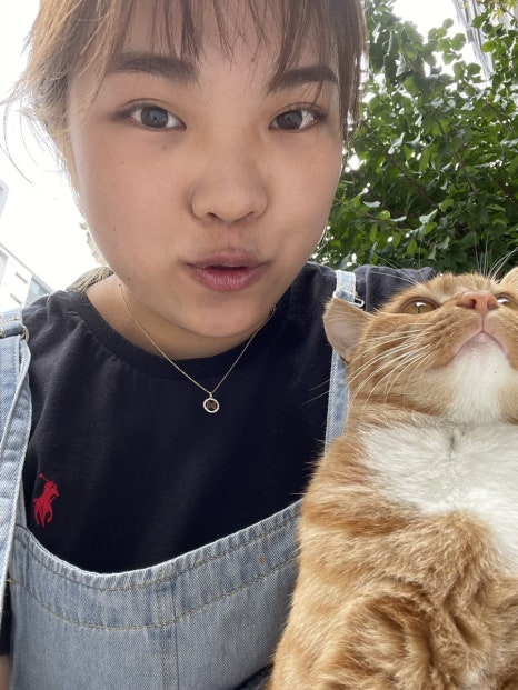 단감테라피 이미지