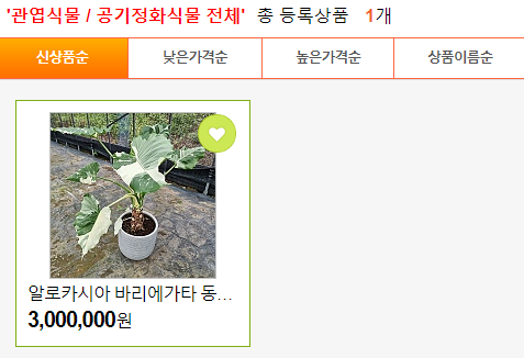 더케이야생화 이미지