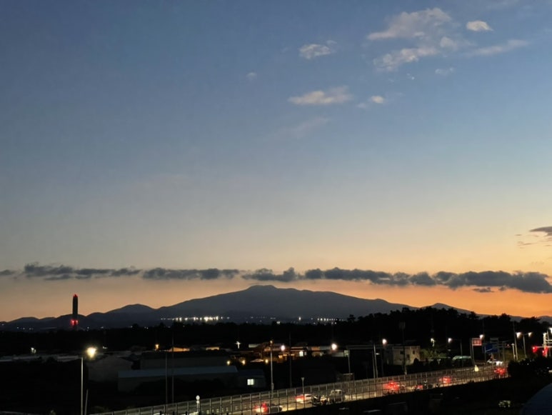 루리스 이미지