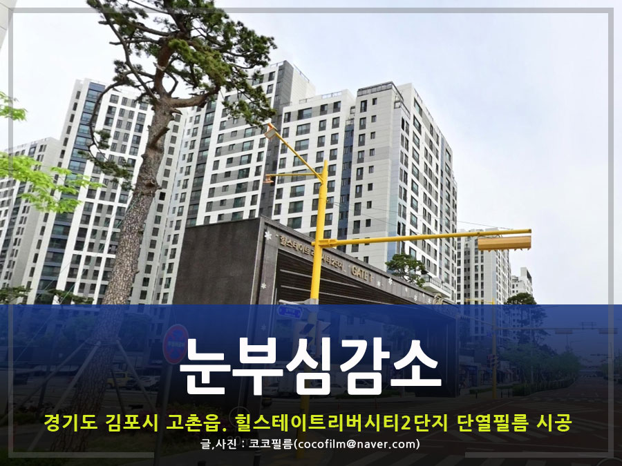 썬가드공식총판코코필름 이미지
