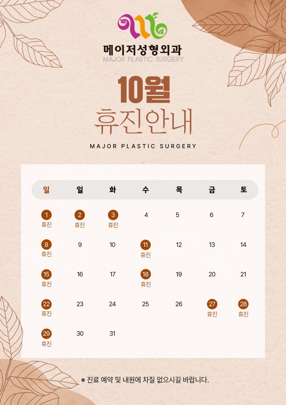 메이저성형외과 이미지