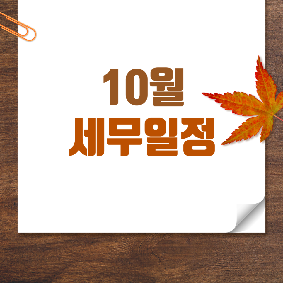 세빛세무회계 이미지