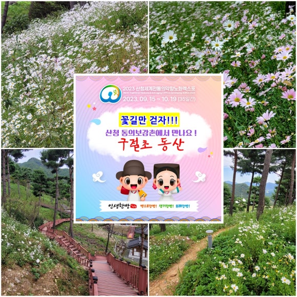 꽃길만걷자 이미지