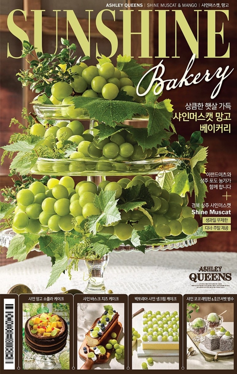 TC망고 이미지