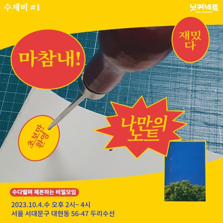 두리수선 이미지