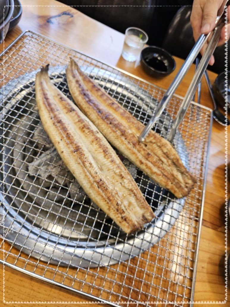 장어나다 이미지
