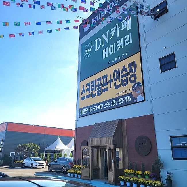 디엔예스 이미지