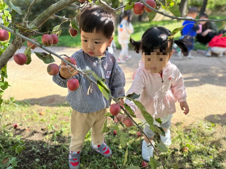 농촌뜨락협동조합 이미지
