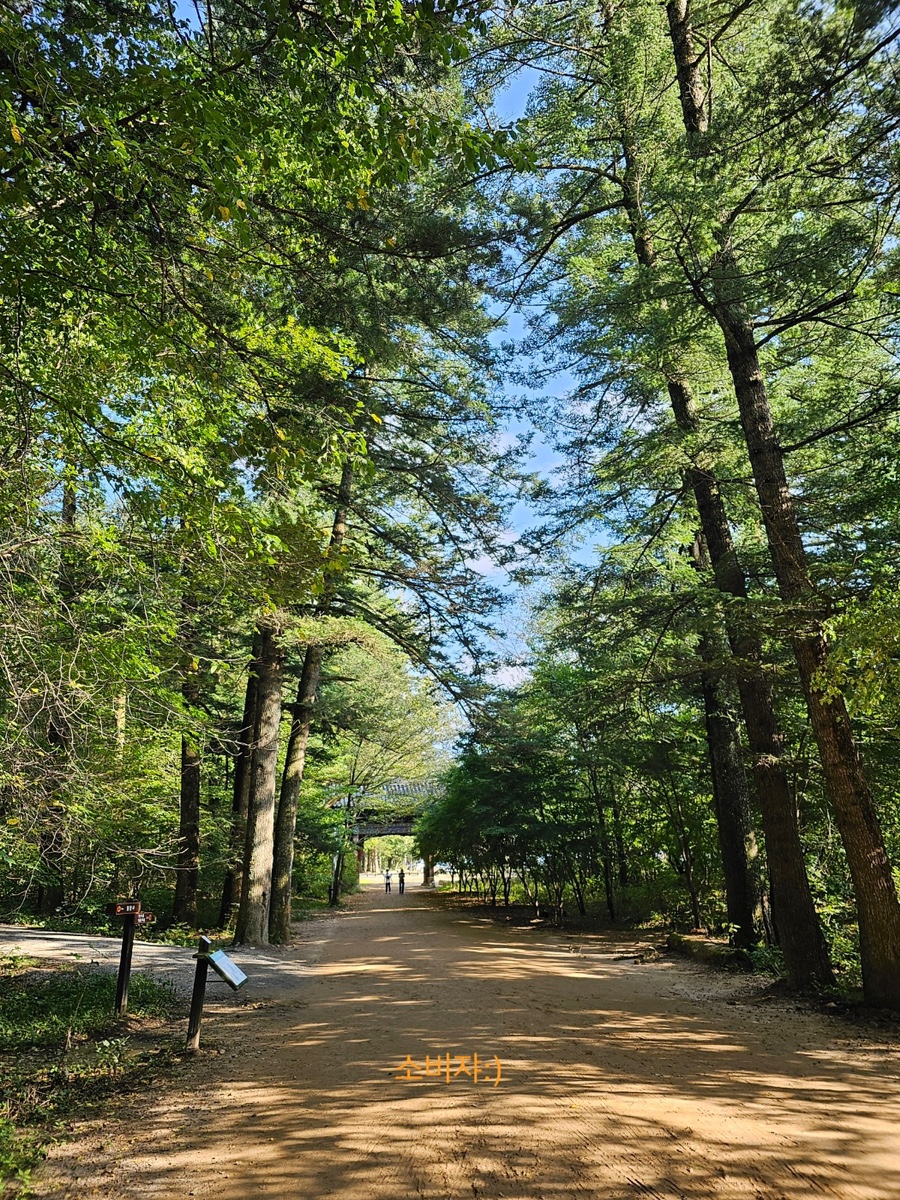 용추골미궁순대(진부지점) 이미지