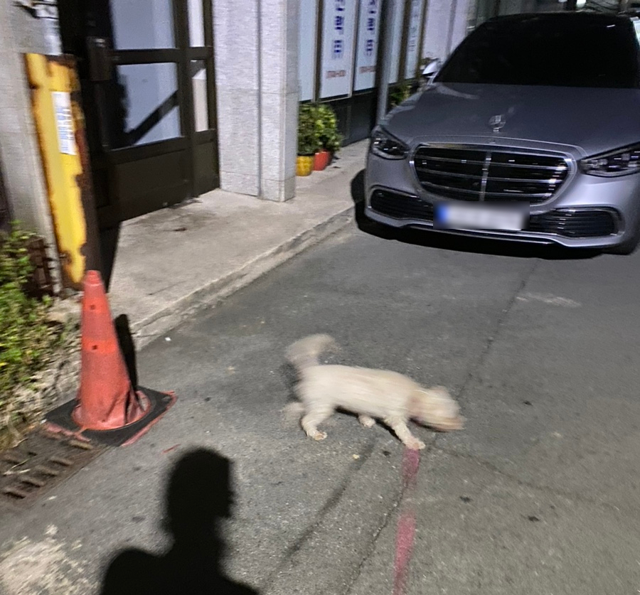 소디스에스프레소바 성건점 이미지
