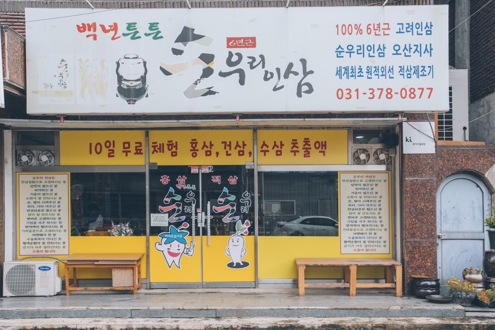 순우리인삼 이미지