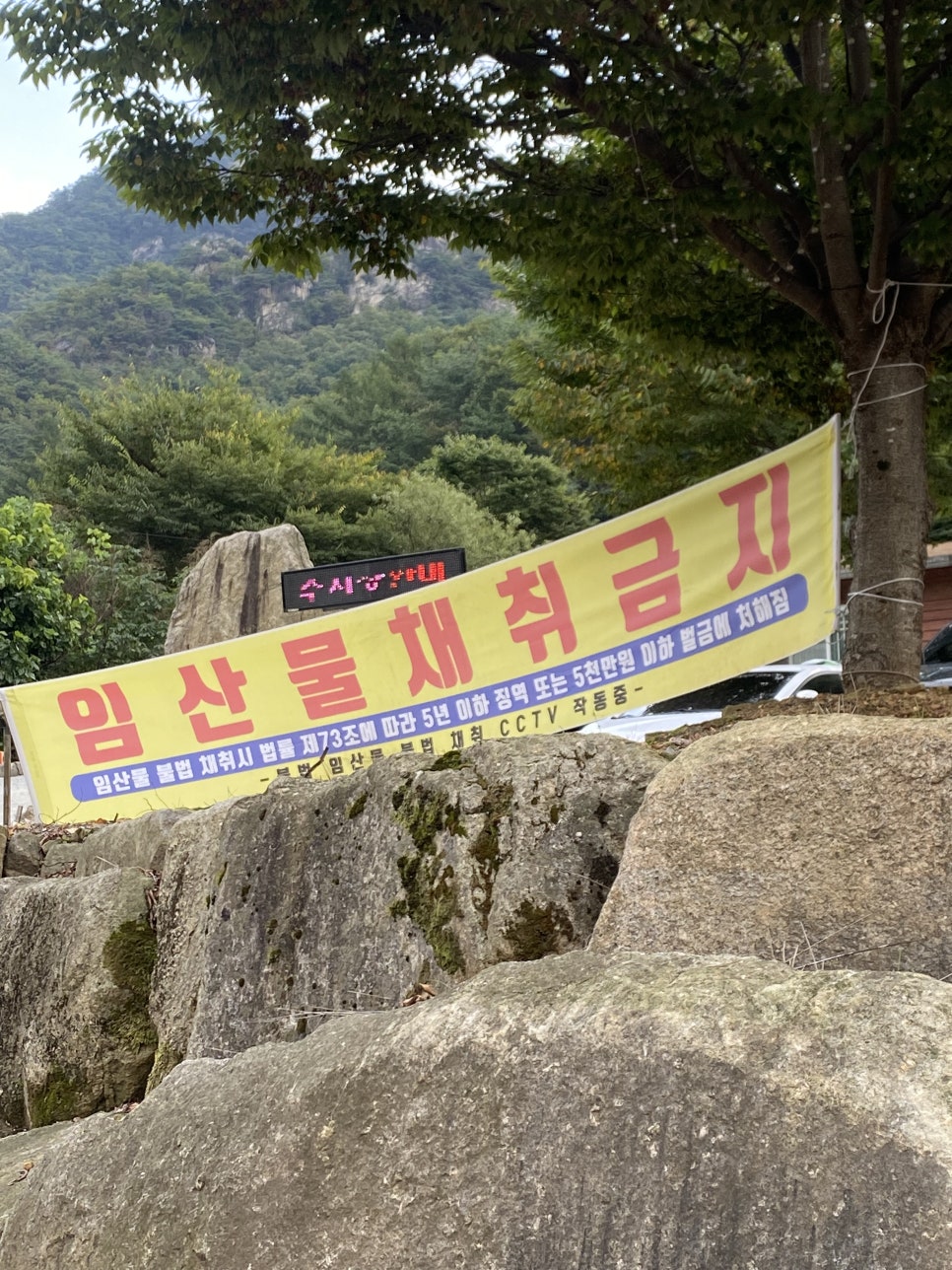 학현아름마을민박 이미지