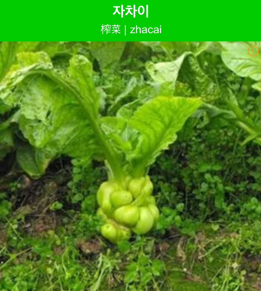 수영식당 이미지