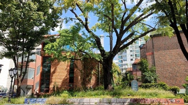 서래마을호두파이 이미지