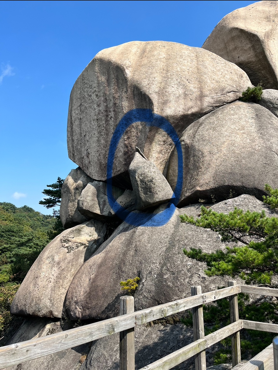 봉주카페 이미지