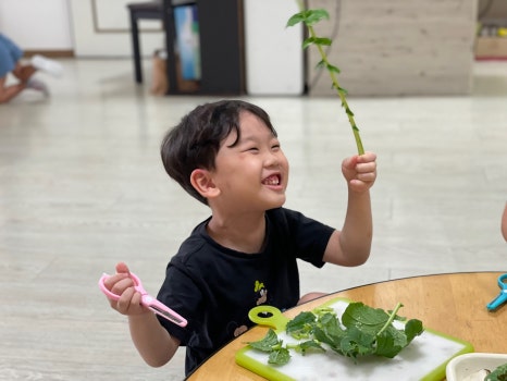 금빛 유치원 이미지