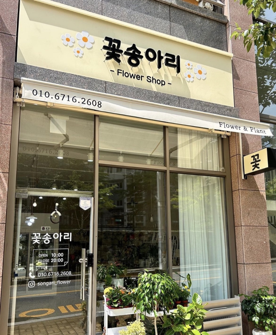 꽃송아리 이미지