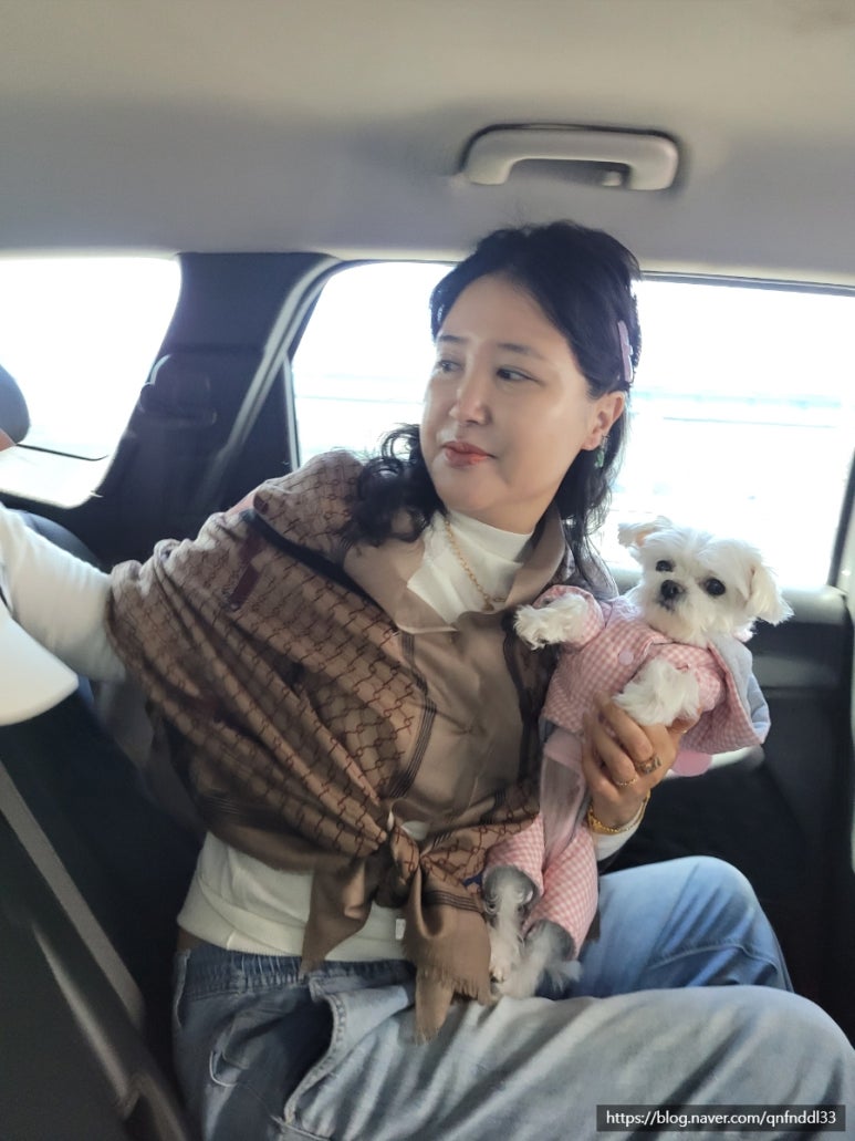 영이네꽃집 이미지