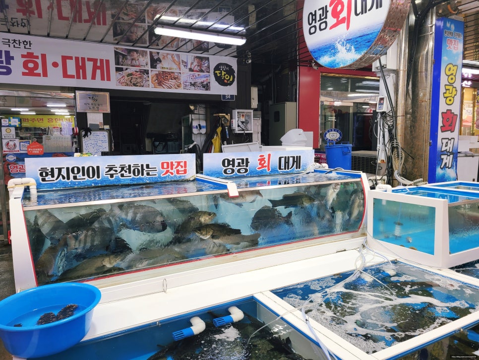 포항회센타 이미지