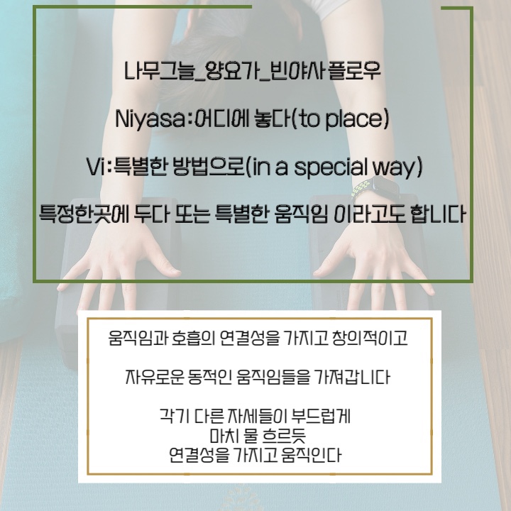 토요요 이미지