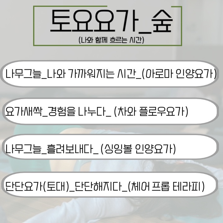 토요요 이미지
