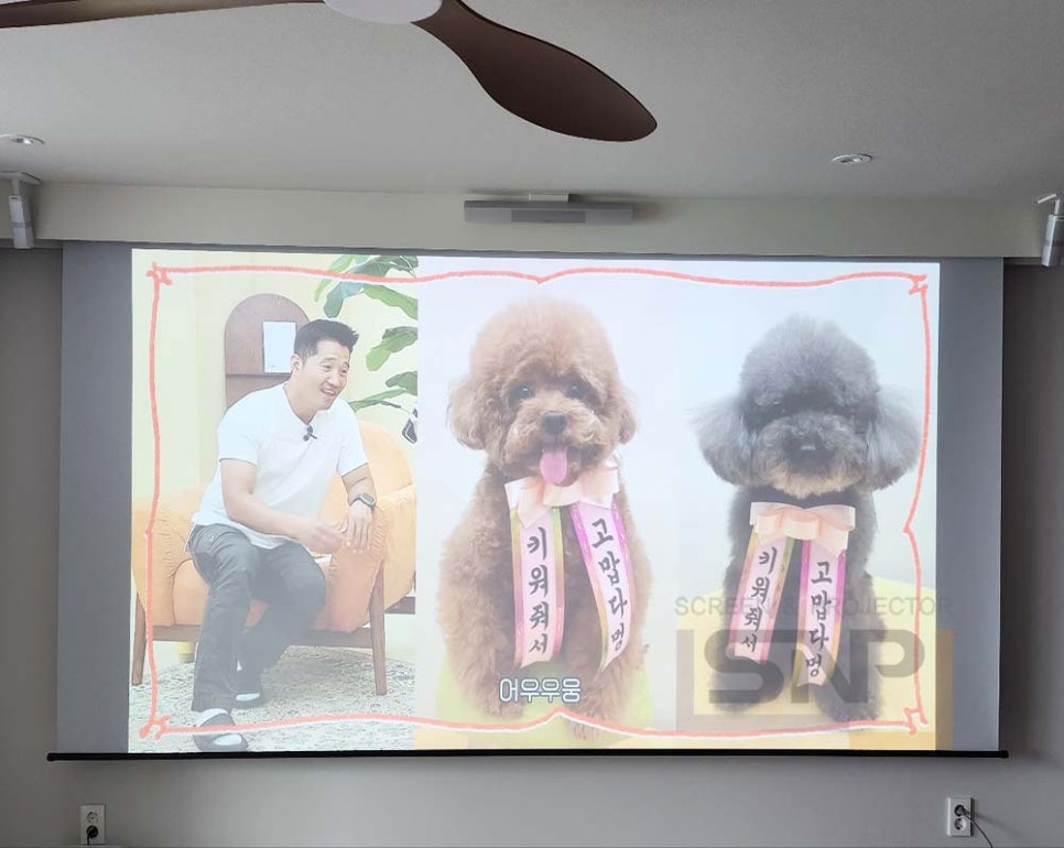 퍼스트 대리점 이미지