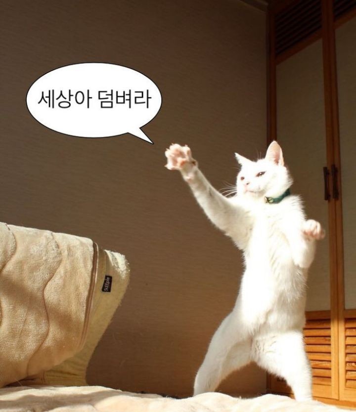 구십삼93 이미지