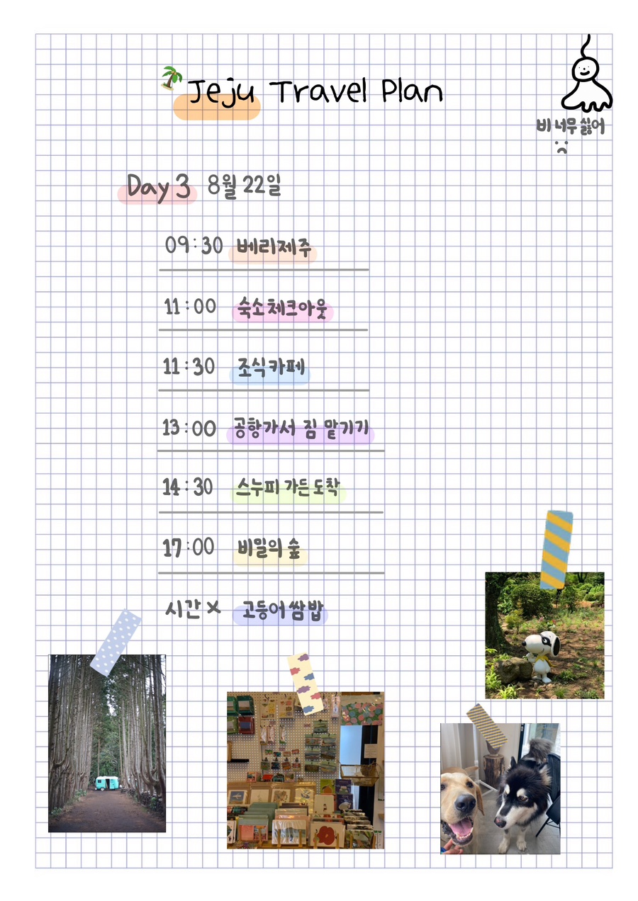 찐제주 이미지