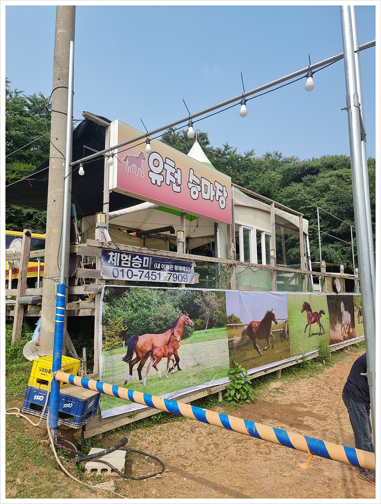 유천오리 이미지