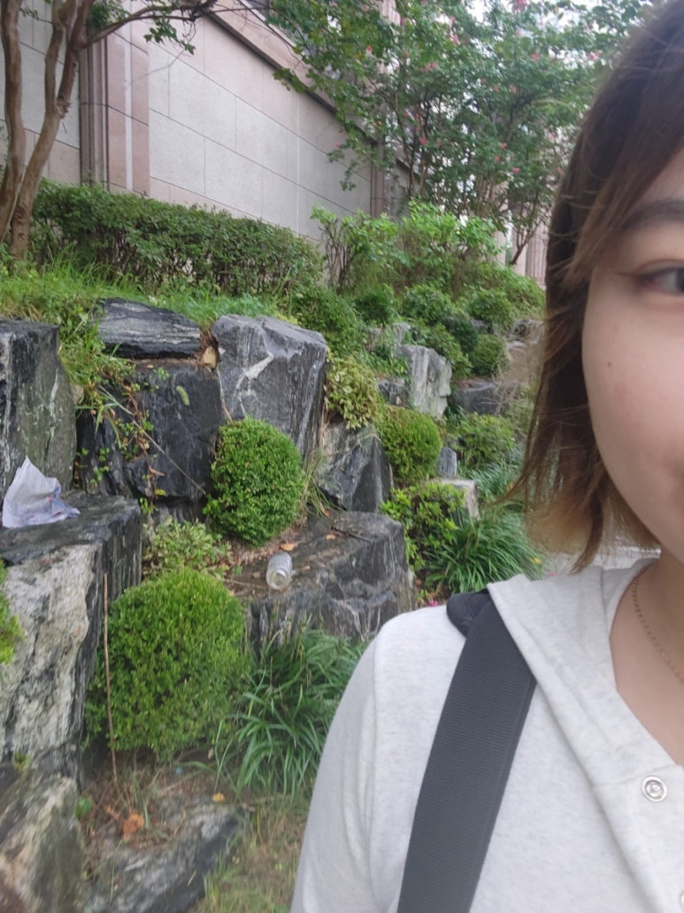 정직유부화명 이미지