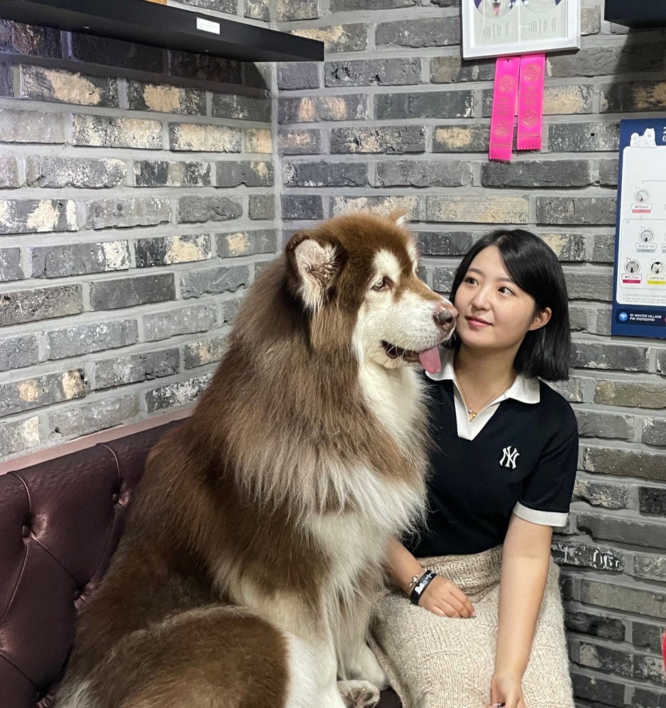 감정선프로젝트연남점 이미지