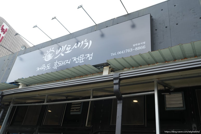제주의별 이미지